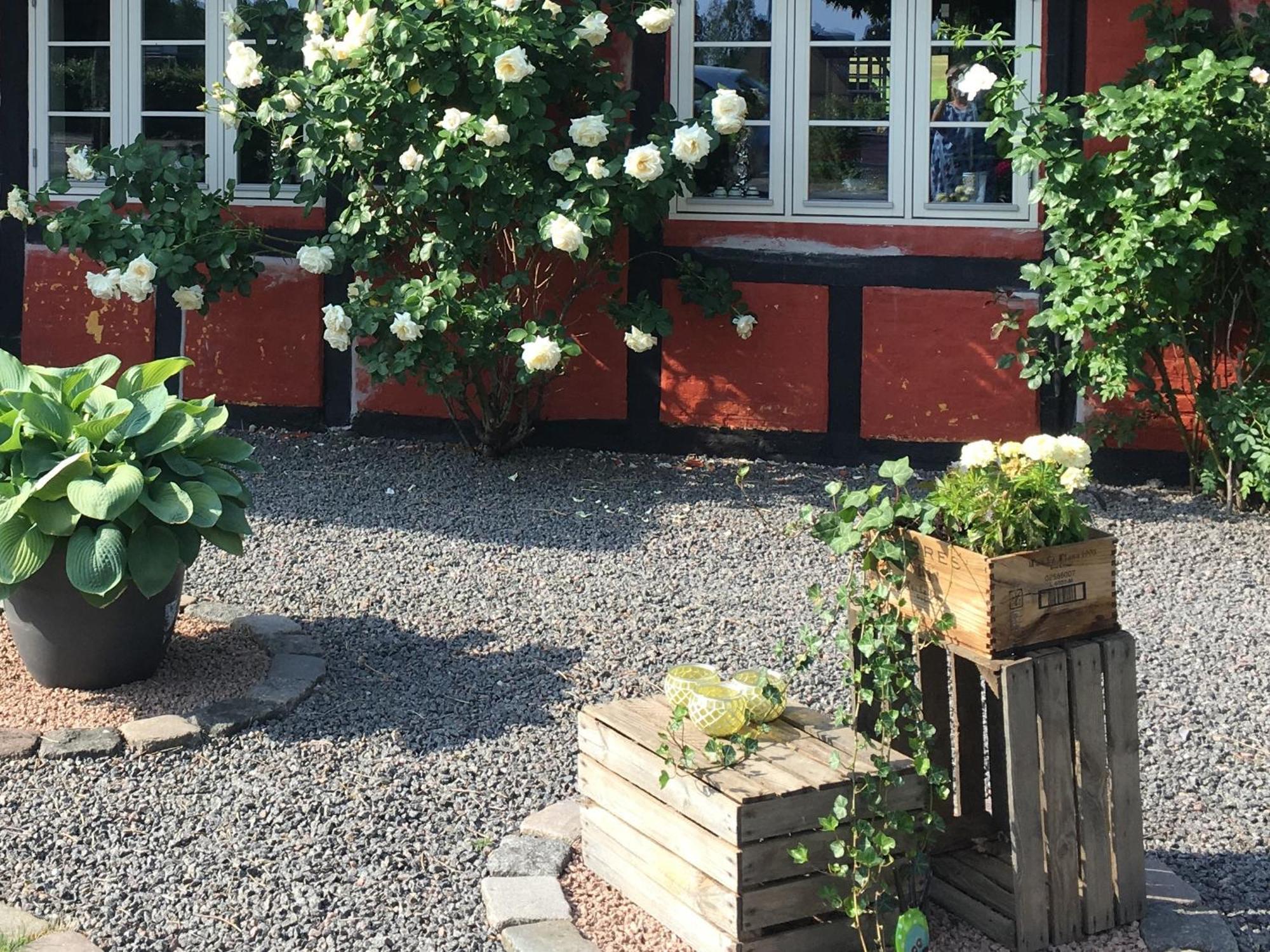 Lolland Bed & Breakfast Sollested  Luaran gambar