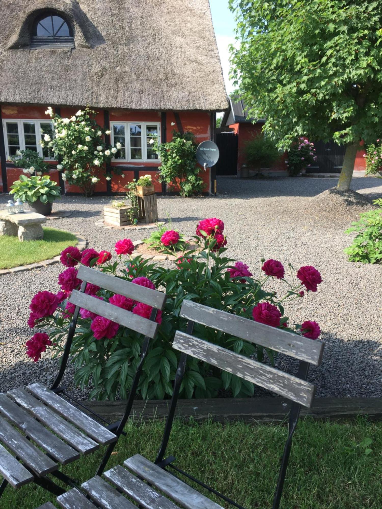 Lolland Bed & Breakfast Sollested  Luaran gambar